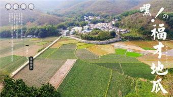 网红吃瓜营地,揭秘娱乐圈幕后风云  第3张