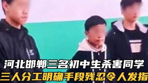三个初中生杀死一面男孩最新爆料,三名初中生涉嫌杀害同龄男孩，案情细节曝光”  第2张